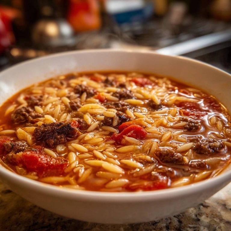 Hack-Orzo-Tomaten-Eintopf als Nahaufnahme in einer weißen Schüssel, mit sichtbaren Nudeln und Hackfleisch.