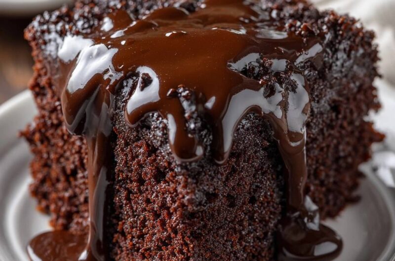 Saftiger Schokoladen-Fudge-Kuchen